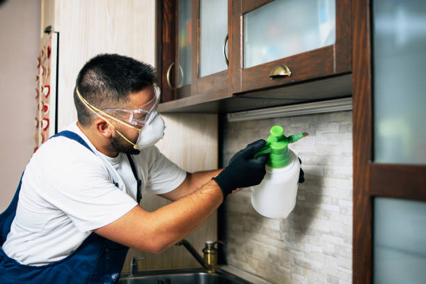 Best Pest Removal Services  in Waipio, HI