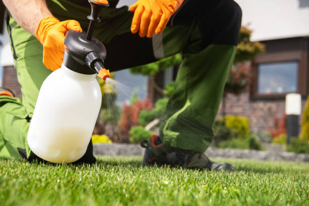 Best Flea Control Services  in Waipio, HI