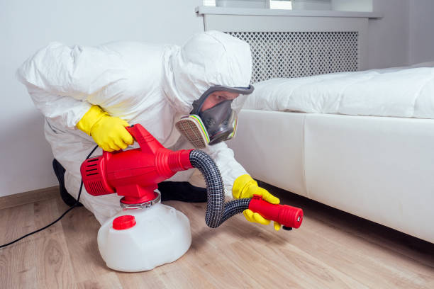 Best Pest Control for Homes  in Waipio, HI