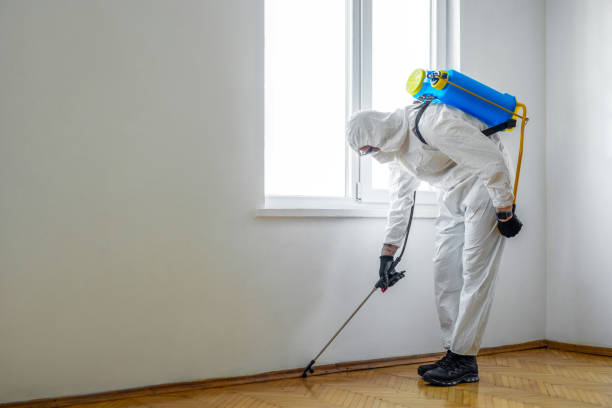 Best Mosquito Control Services  in Waipio, HI