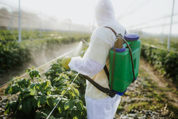 Best Affordable Pest Control Services  in Waipio, HI